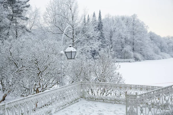 Winter Wonderland Scène Achtergrond Landschap Bomen Bossen Sneeuw Kerstmis Nieuwjaar — Stockfoto