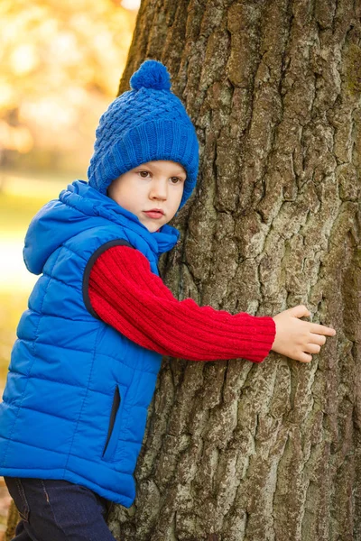 Enfant Dans Parc Automne Joyeux Garçon Adorable Avec Des Feuilles — Photo