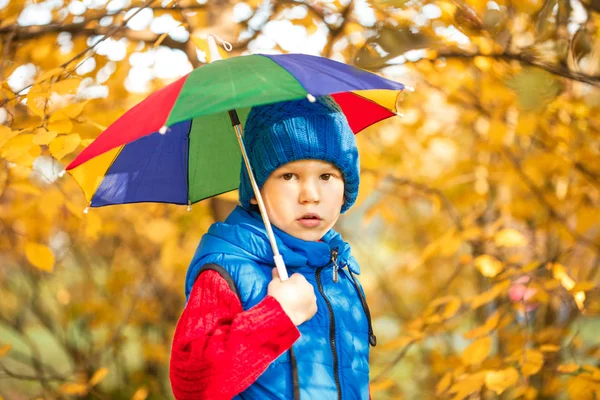Barn Höst Park Glad Bedårande Pojke Med Hösten Lämnar Begreppet — Stockfoto