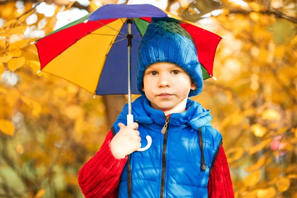 Kind Herbstpark Glücklicher Liebenswerter Junge Mit Herbstblättern Das Konzept Von — Stockfoto