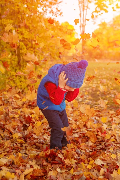 Kind Herfst Park Gelukkig Schattige Jongen Met Herfst Bladeren Het — Stockfoto