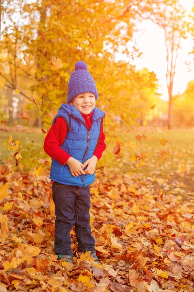 Kind Herfst Park Gelukkig Schattige Jongen Met Herfst Bladeren Het — Stockfoto