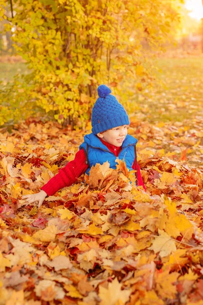 Bambino Nel Parco Autunnale Felice Adorabile Ragazzo Con Foglie Autunno — Foto Stock