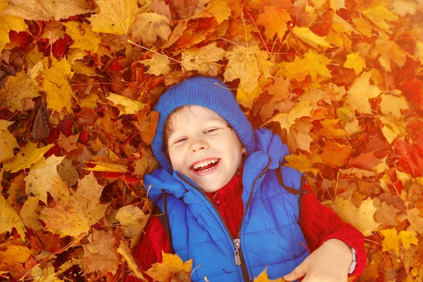 Criança Parque Outono Menino Adorável Feliz Com Folhas Outono Conceito — Fotografia de Stock