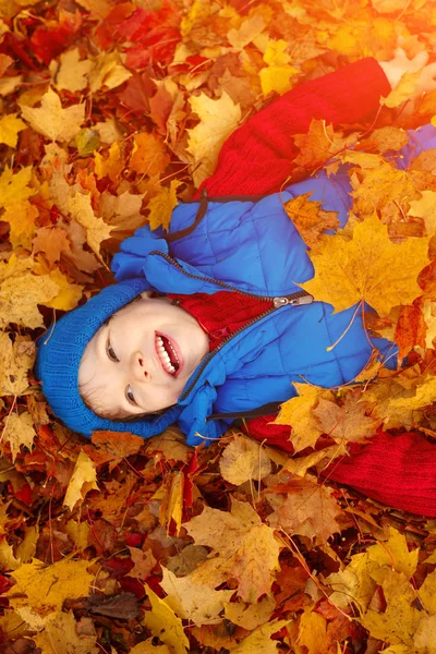 Niño Parque Otoño Feliz Niño Adorable Con Hojas Otoño Concepto —  Fotos de Stock