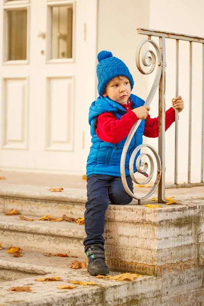 Enfant Dans Parc Automne Joyeux Garçon Adorable Avec Des Feuilles — Photo