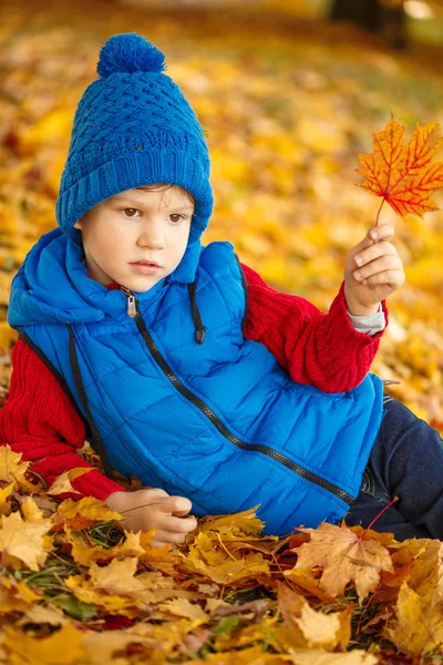 Kind Herbstpark Glücklicher Liebenswerter Junge Mit Herbstblättern Das Konzept Von — Stockfoto
