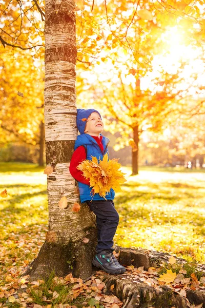 Dítě Podzimním Parku Rozkošný Šťastlivce Pádem Listy Pojem Dětství Rodina — Stock fotografie