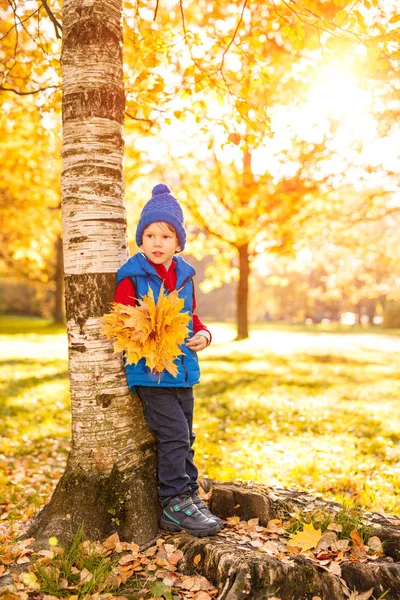 Kind Herfst Park Gelukkig Schattige Jongen Met Herfst Bladeren Het — Stockfoto