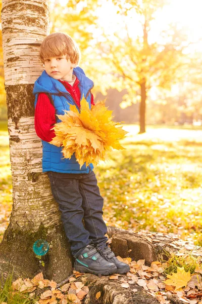 Дитина Осінньому Парку Щасливий Чарівний Хлопчик Осіннім Листям Концепція Дитинства — стокове фото