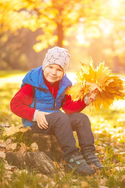 孩子在秋天公园 快乐可爱的男孩与落叶 家庭和孩子的概念在户外笑 — 图库照片