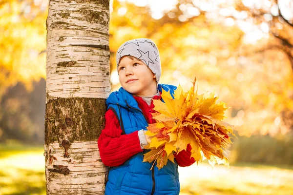 Kind Herfst Park Gelukkig Schattige Jongen Met Herfst Bladeren Het — Stockfoto