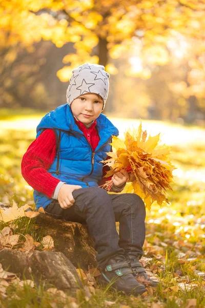 Criança Parque Outono Menino Adorável Feliz Com Folhas Outono Conceito — Fotografia de Stock