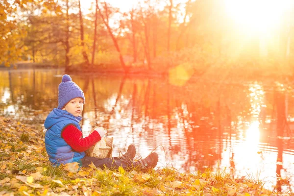 Kind Herfst Park Gelukkig Schattige Jongen Met Herfst Bladeren Het — Stockfoto