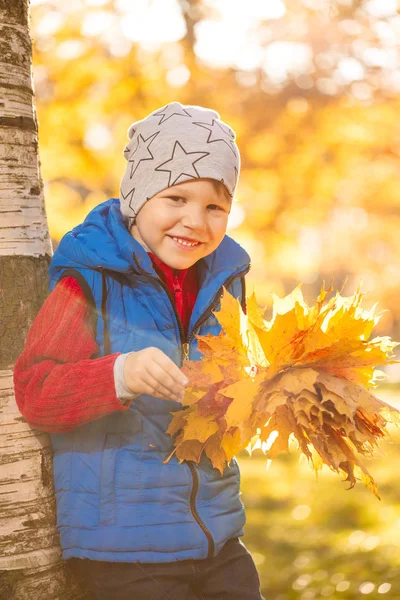 Bambino Nel Parco Autunnale Felice Adorabile Ragazzo Con Foglie Autunno — Foto Stock