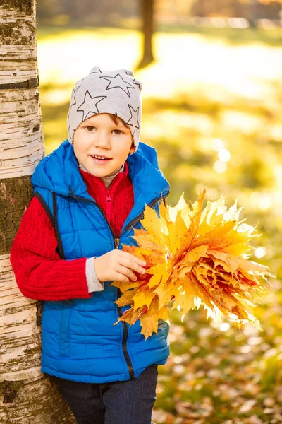 Kind Herfst Park Gelukkig Schattige Jongen Met Herfst Bladeren Het — Stockfoto