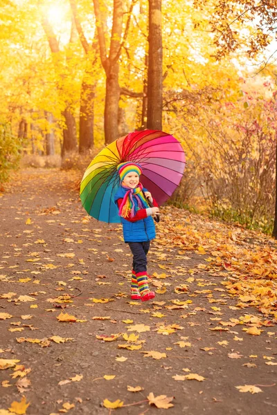 Enfant Dans Parc Automne Joyeux Garçon Adorable Avec Des Feuilles — Photo