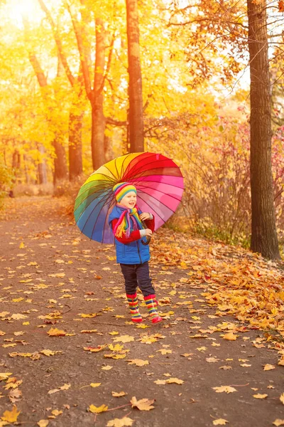 Dziecko Jesienny Park Szczęśliwy Chłopiec Spadek Liści Koncepcja Dzieciństwo Rodzina — Zdjęcie stockowe