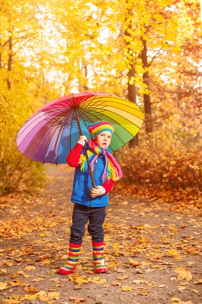 秋の公園内の子 秋の幸せな愛らしい少年を残します 子供の頃 家族や子供向けのコンセプト笑屋外 — ストック写真