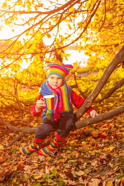 Enfant Dans Parc Automne Joyeux Garçon Adorable Avec Des Feuilles — Photo