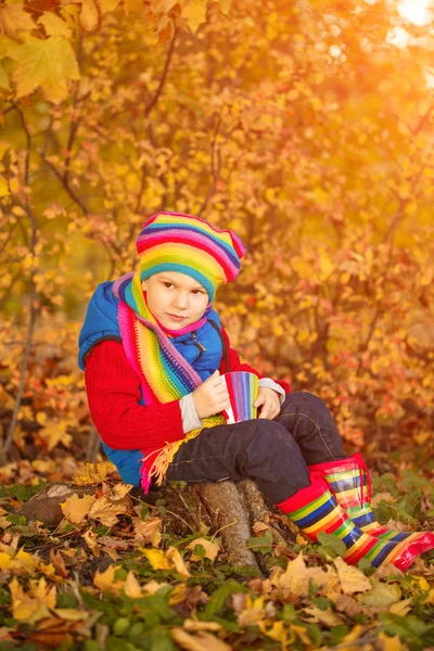 Enfant Dans Parc Automne Joyeux Garçon Adorable Avec Des Feuilles — Photo