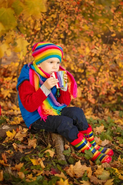 Criança Parque Outono Menino Adorável Feliz Com Folhas Outono Conceito — Fotografia de Stock