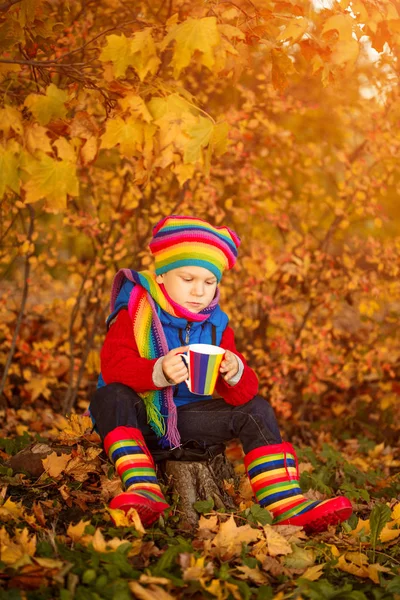 Kind Herfst Park Gelukkig Schattige Jongen Met Herfst Bladeren Het — Stockfoto