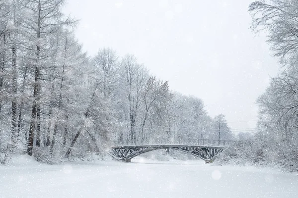 冬日仙境的布景背景 森林在雪地里 圣诞节 新年时间 免版税图库照片