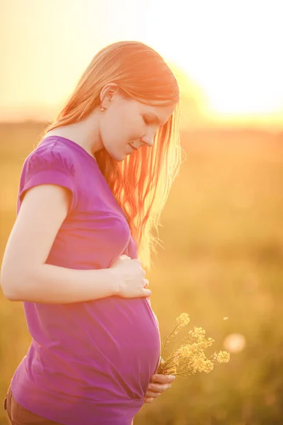 Hamile Kadın Bir Arka Plan Günbatımı Doğa Üzerine Güzel Genç Stok Resim