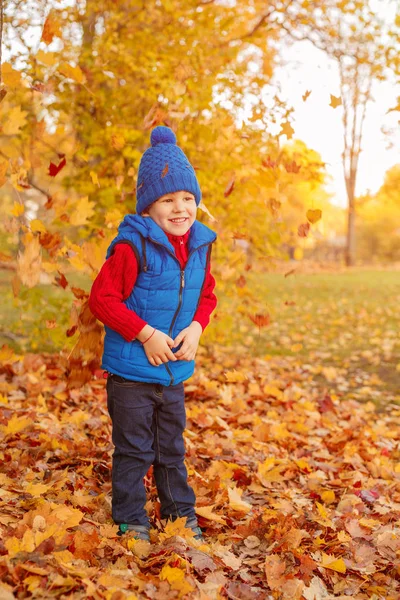 Bambino Nel Parco Autunnale Felice Adorabile Ragazzo Con Foglie Autunno Immagini Stock Royalty Free