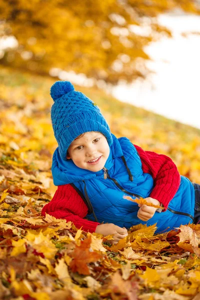 Ребенок Осеннем Парке Счастливый Очаровательный Мальчик Осенними Листьями Концепция Детства Стоковое Изображение