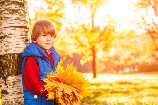 Niño Parque Otoño Feliz Niño Adorable Con Hojas Otoño Concepto Fotos de stock