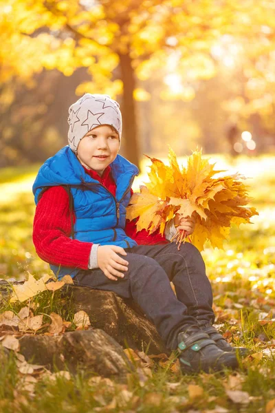 Dziecko Jesienny Park Szczęśliwy Chłopiec Spadek Liści Koncepcja Dzieciństwo Rodzina Obraz Stockowy