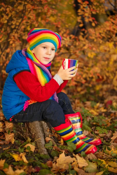Kind Herbstpark Glücklicher Liebenswerter Junge Mit Herbstblättern Das Konzept Von Stockfoto