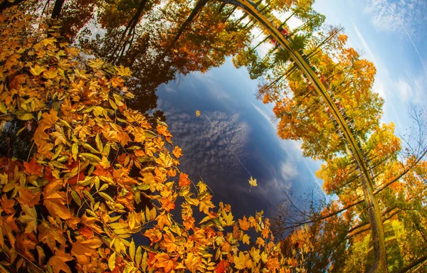 秋の紅葉 秋の風景 — ストック写真