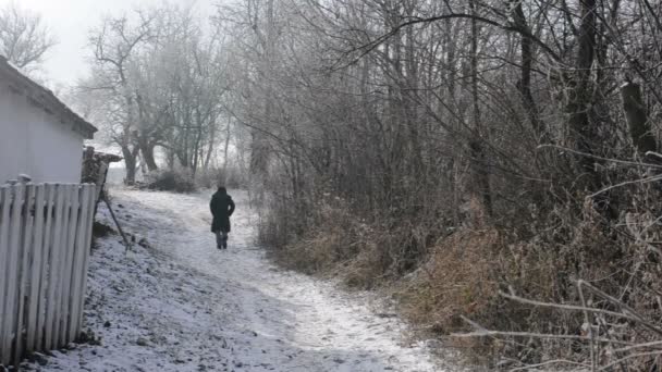 Uzak Donmuş Bir Yolda Yürüyen Adam — Stok video