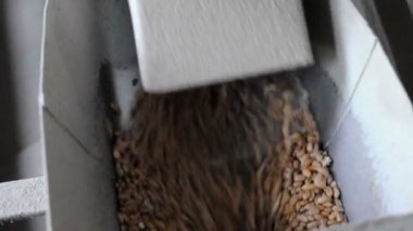 Tahıl ambarı tahıl işleme