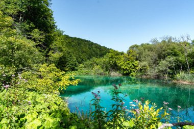 Hırvatistan'da Plitvice göller parkı