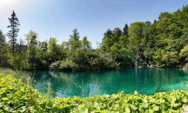 Hırvatistan'da Plitvice göller parkı