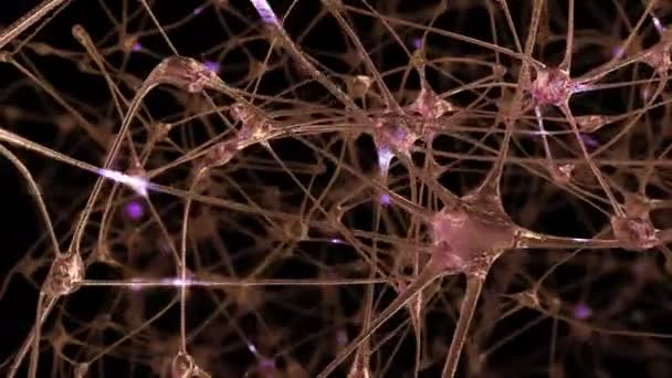 Electrical Neuron Splitting Single Multiple Neurology Concept Pulsing Stock  Video Footage by ©bobbigmac #350862580
