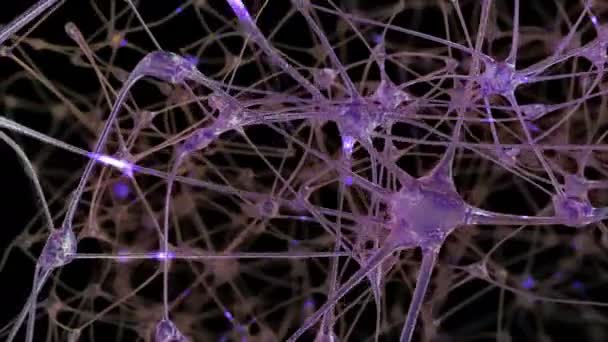 Путешествие Через Сеть Нейрональных Клеток Синапсов Мозге Через Которые Проходят — стоковое видео