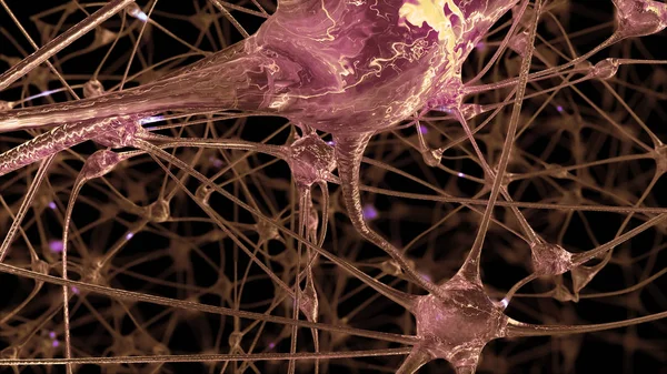 Rendering Network Neuron Cells Synapses Which Electrical Impulses Discharges Pass — Stock Photo, Image
