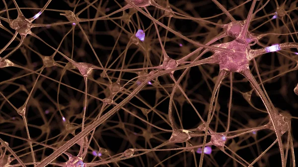 Representación Una Red Células Neuronales Sinapsis Través Las Cuales Pasan —  Fotos de Stock
