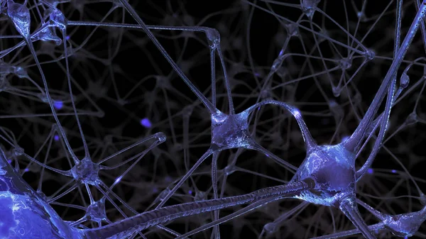 3D rendering of a network of neuron cells and synapses through which electrical impulses and discharges pass during the transmission of information inside the human brain