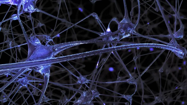 3D rendering of a network of neuron cells and synapses through which electrical impulses and discharges pass during the transmission of information inside the human brain