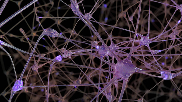 3D rendering of a network of neuron cells and synapses through which electrical impulses and discharges pass during the transmission of information inside the human brain