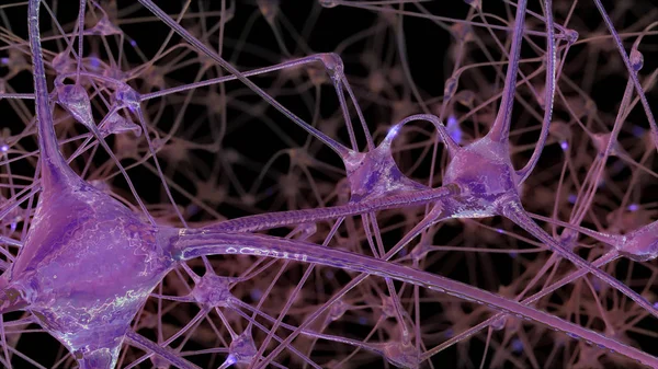 Rendering Network Neuron Cells Synapses Which Electrical Impulses Discharges Pass — Stock Photo, Image