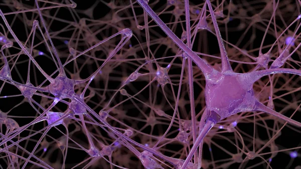 3D rendering of a network of neuron cells and synapses through which electrical impulses and discharges pass during the transmission of information inside the human brain