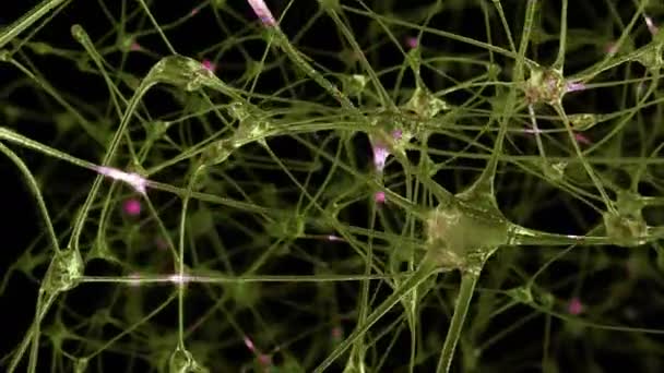 神経細胞と通過する電気衝動および放電脳におけるシナプスのネットワークを通して 情報伝達の間にニューロンのシナプス ネットワーク — ストック動画