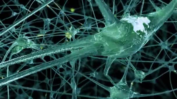 Viaje Través Una Red Células Neuronales Sinapsis Cerebro Través Las — Vídeo de stock